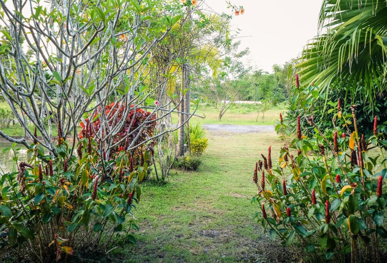 Rommai Villa Chiang Rai Ban Pa Sang Zewnętrze zdjęcie